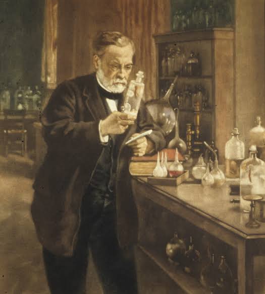 Bira, süt ve Louis Pasteur